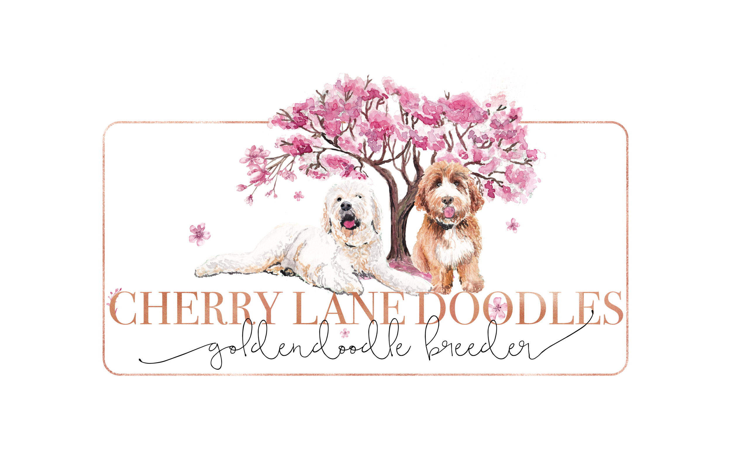 Cherry Lane Doodles Cherry Lane Doodles Homepage